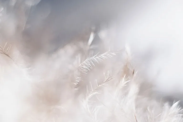 deodoranti naturali