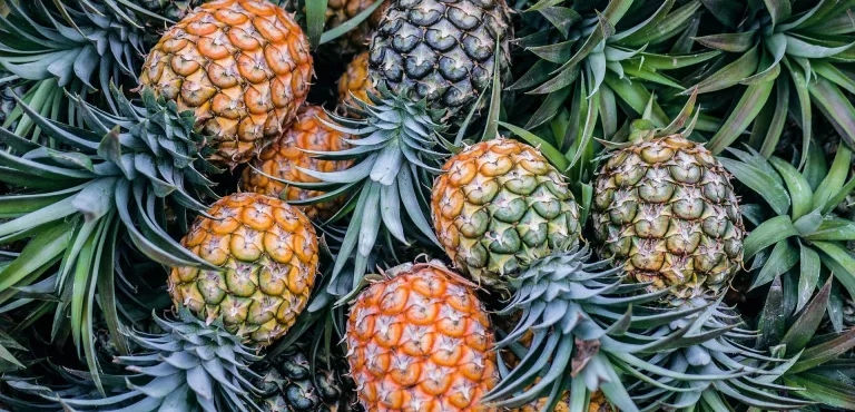 ananas